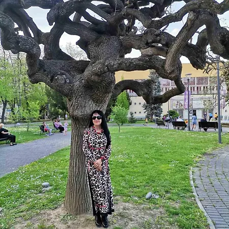 San * Vrnjačka Banja