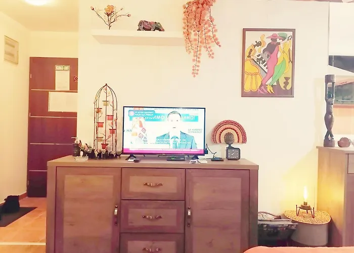 Apartament San Vrnjačka Banja