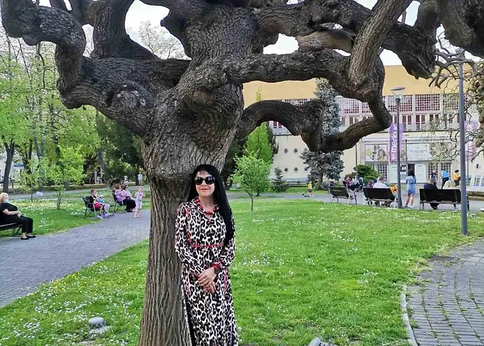 San * Vrnjačka Banja